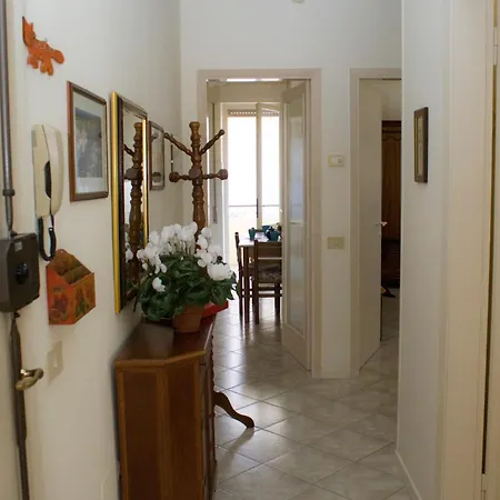 Summer * וירג'יו