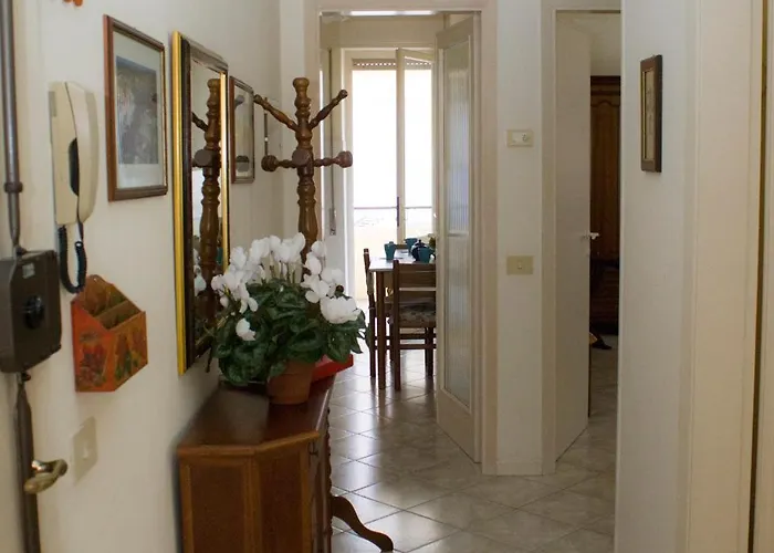 Summer * 维亚雷焦